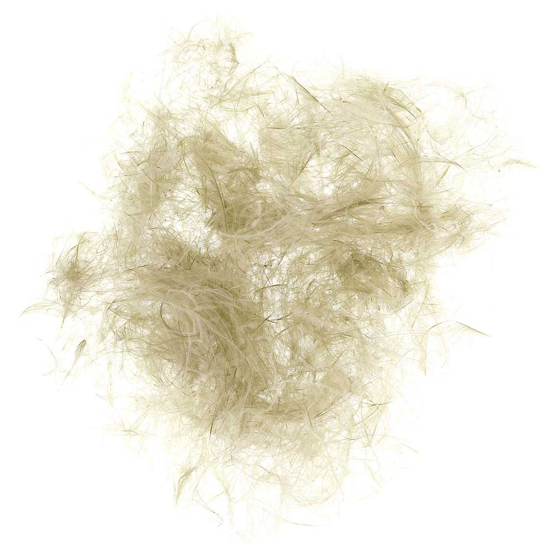 P-17428-2_soldarini_cdc-dubbing_light-olive lt. olive