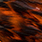 grizzly burnt orange