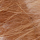sand variant