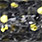 schwarz gelb glitzer