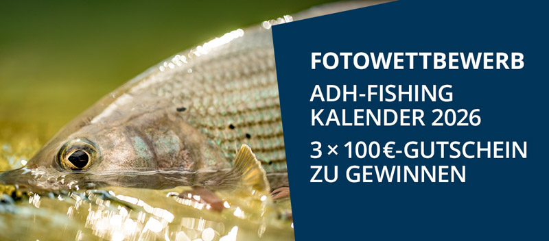 Foto-Wettbewerb: 3 x 100€ Gutscheine zu gewinnen