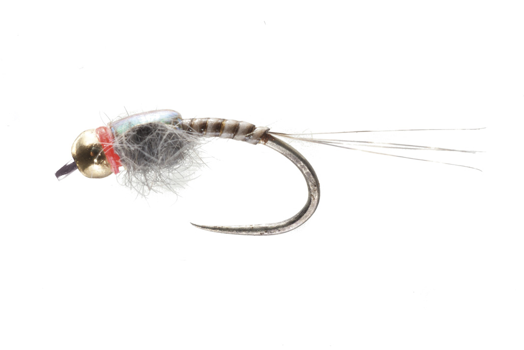 Soldarini Tungsten Nymphe - Quill Flashback Red Neck