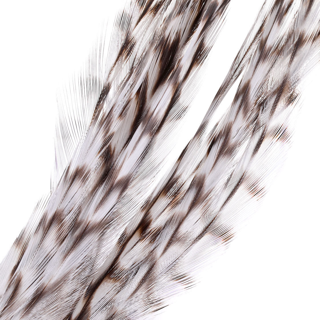 P-25415_Whiting-100-Pk-Size-6-Grizzly Whiting 100 Pk Size 6 Grizzly