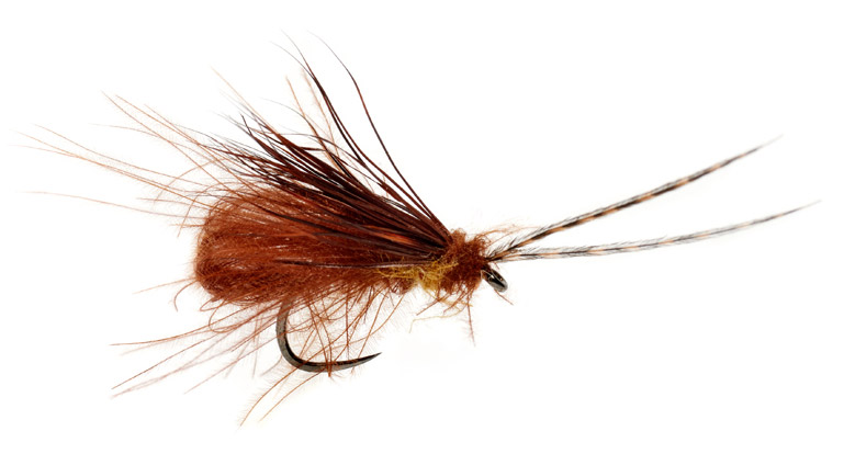fullin_mill_mcphail_chocolate_drop_barbless Fulling Mill Trockenfliege - McPhail Bubble Wing Caddis Chocolate Drop Barbless
