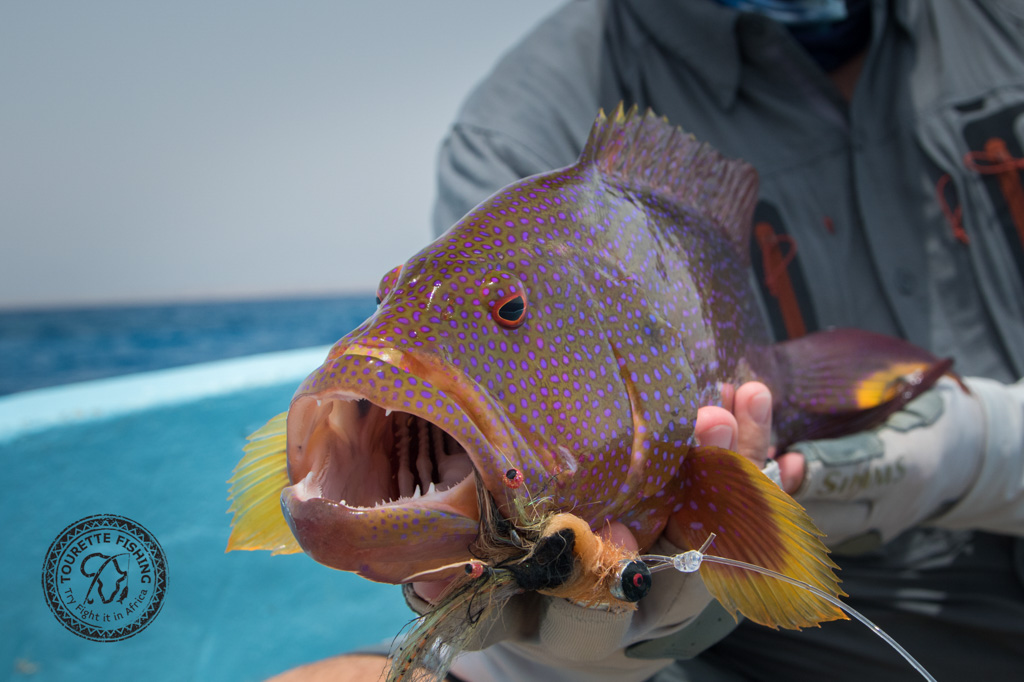 sudan2015-25 - Fliegenfischen auf den Nubischen Flats
