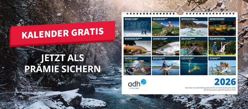Jetzt als Prämie: Kalender 2026 gratis
