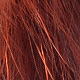 burnt orange light/dark