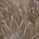 mottled grey dyed tan