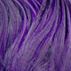 white dyed purple