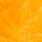 yellow orange