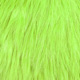 white dyed fl. green chartreuse