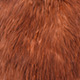 white dyed brown