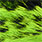 chartreuse