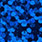 holo blau