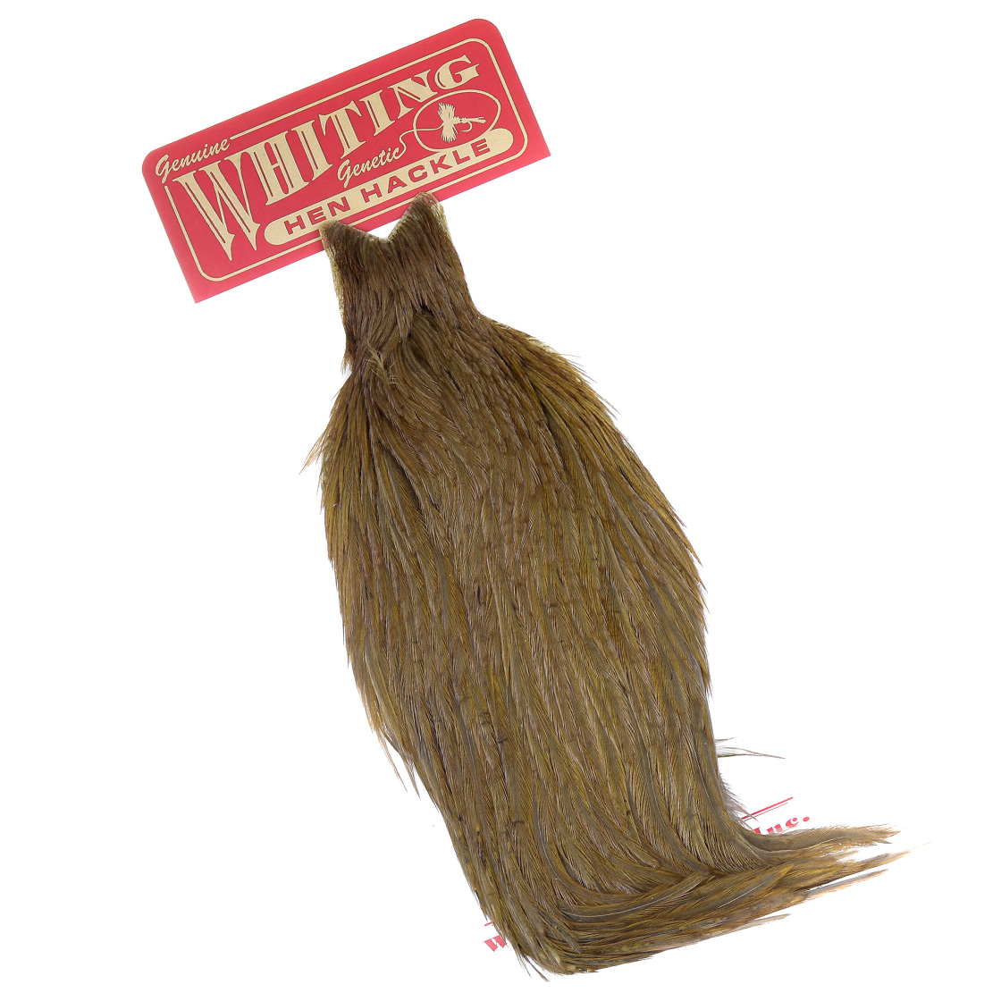 Whiting Hen Cape