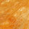 ginger