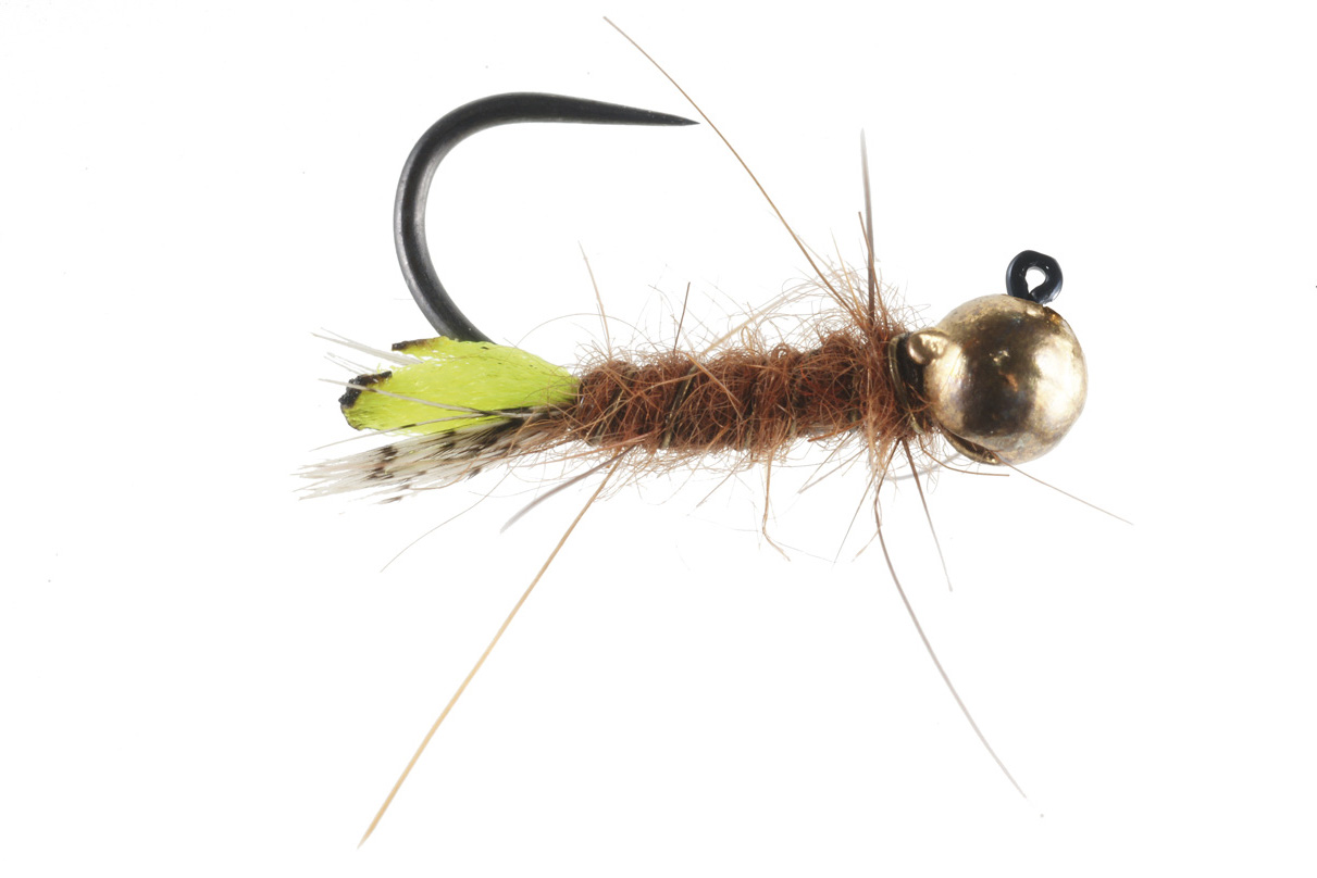 Soldarini Tungsten Jig Nymphe - Peeping Caddis Gold Bead
