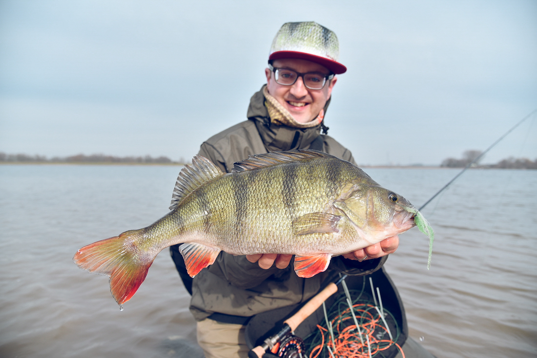 Schulz_Perch_-1 - Im Gespräch mit Steffen Schulz - Fliegenfischen auf Barsch Im Gespräch mit Steffen Schulz - Fliegenfischen auf Barsch