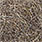 sow bug