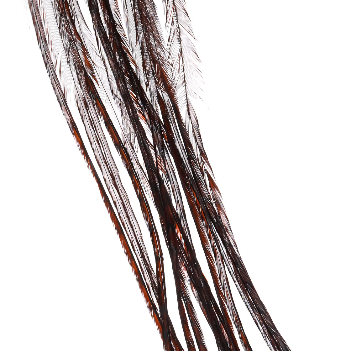 grizzly dyed coachman brown