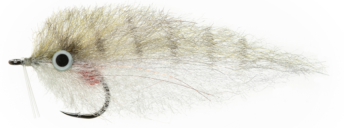 P-28793_Enrico_Puglisi_Rattle_Streamer_Pinfish_ Enrico Puglisi RATTLE STREAMER - PINFISH - #3/0