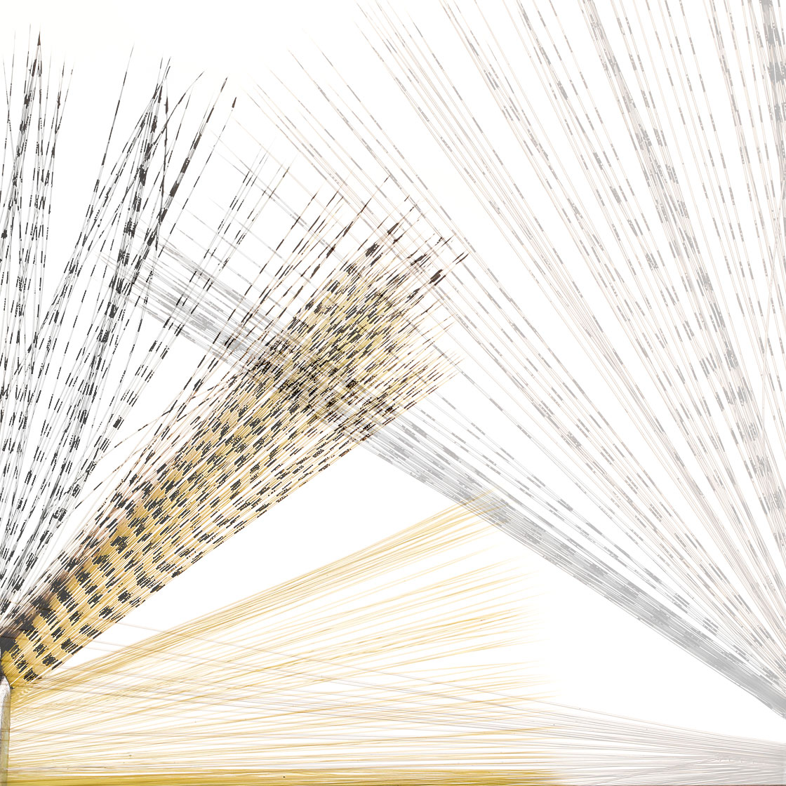 P-17454_soldarini_microfibbets_titel_3