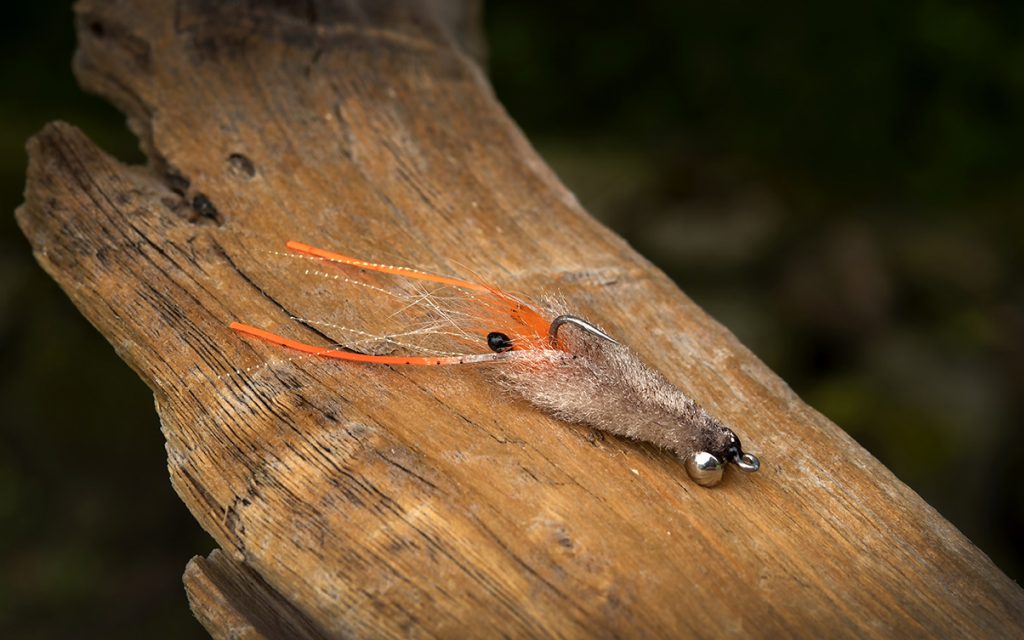 SA250 Shrimp (Bindebeispiel)