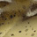 C-01