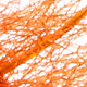 HOT ORANGE