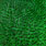 grizzly dyed highlander green