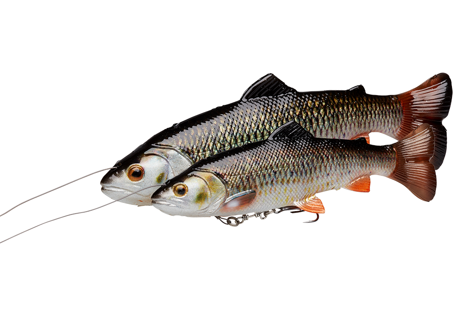 Savage Gear 4D Line Thru Pulse Tail Trout perch