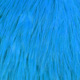 white dyed kingfisher blue