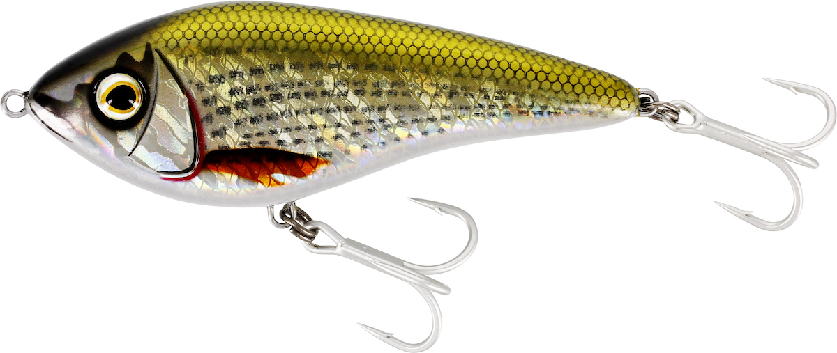 shiny mullet