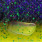 purple rave