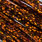 holo copper