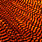 grizzly orange