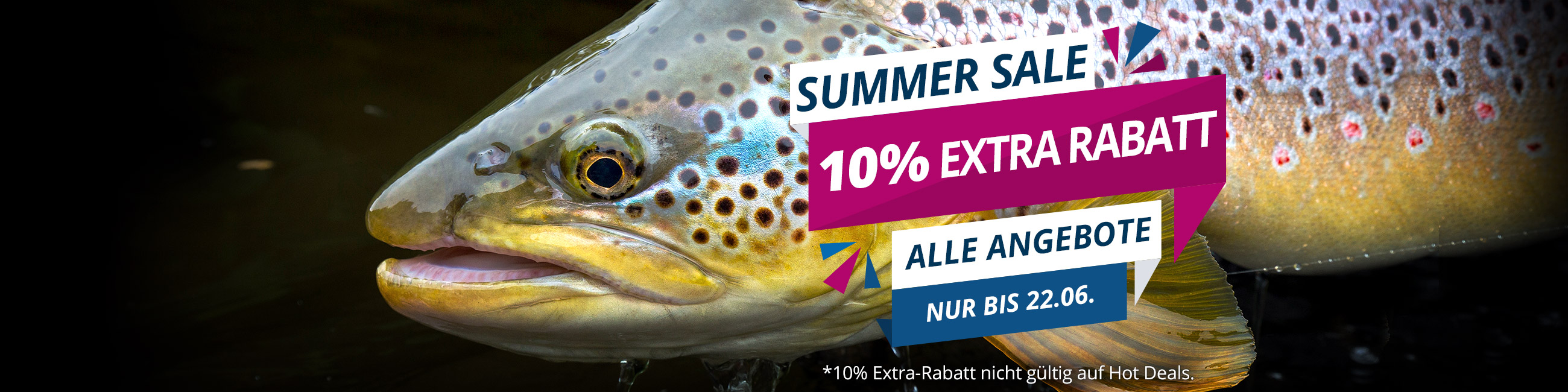 Summer Sale: 10% Extra bis 22.6.