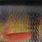 perch