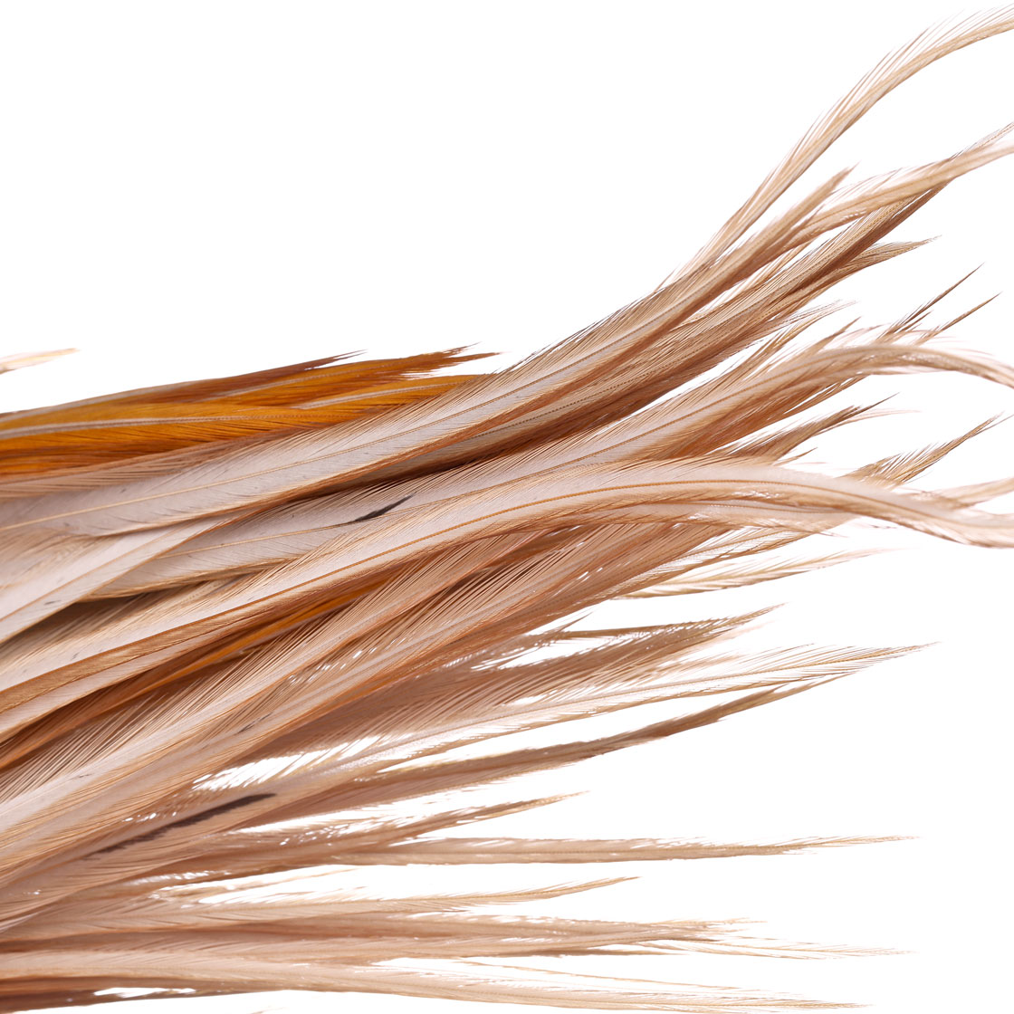 P-25419_Whiting-Bronze-Cape_detail_1