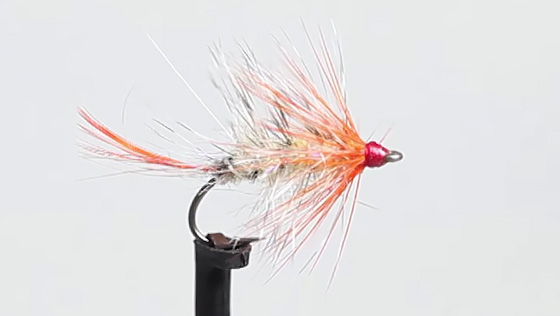 Bindevideo: Autumn Fly