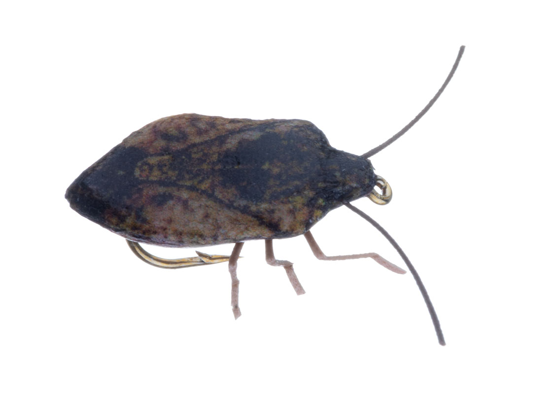 Vania Realistic Stink Bug Trockenfliege brown