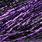 black violet