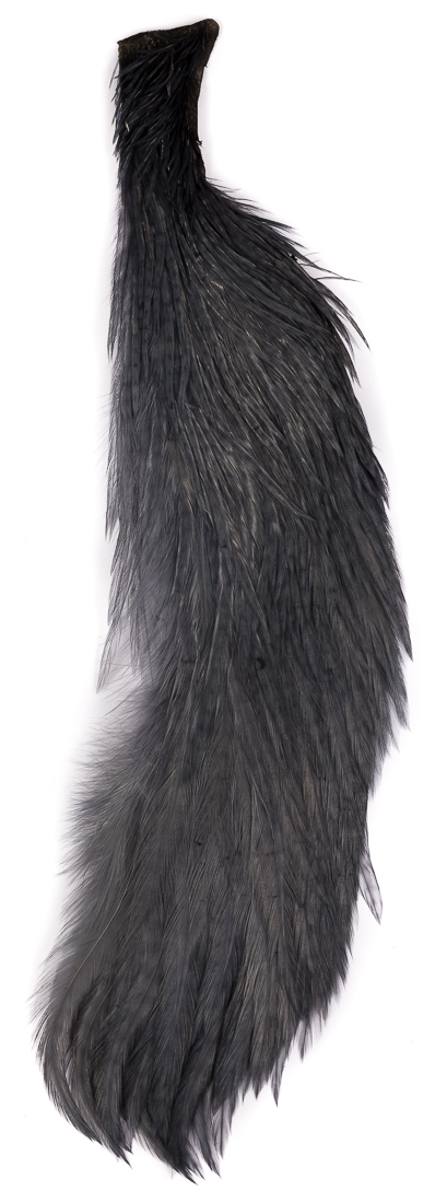 medium dun