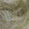salmon smolt