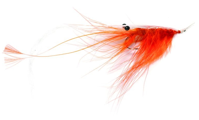 Fulling Mill Meerforellenfliege Oeland Spey Shrimp orange