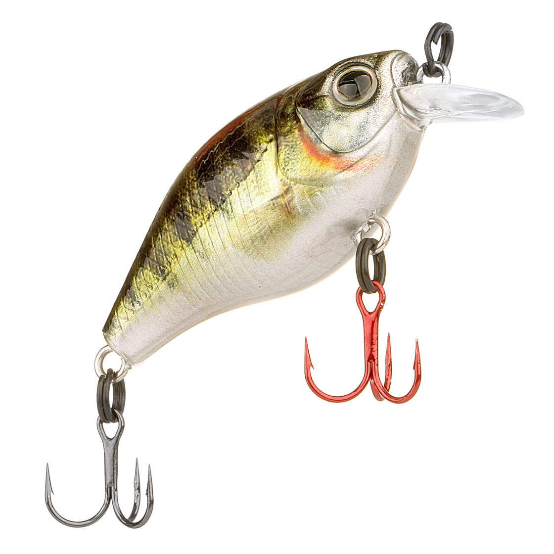 zander