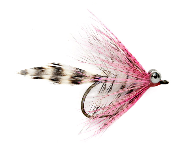 Fulling Mill Meerforellenfliege - Polar Magnus pink by Claus Eriksen