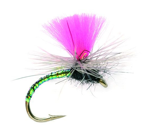 1847_l_de Fulling Mill Trockenfliege - Greased Lightning Pink