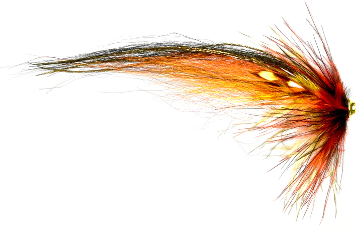 P-20550_Frodin_Flies_Willi_Gun Beispiel Fliege