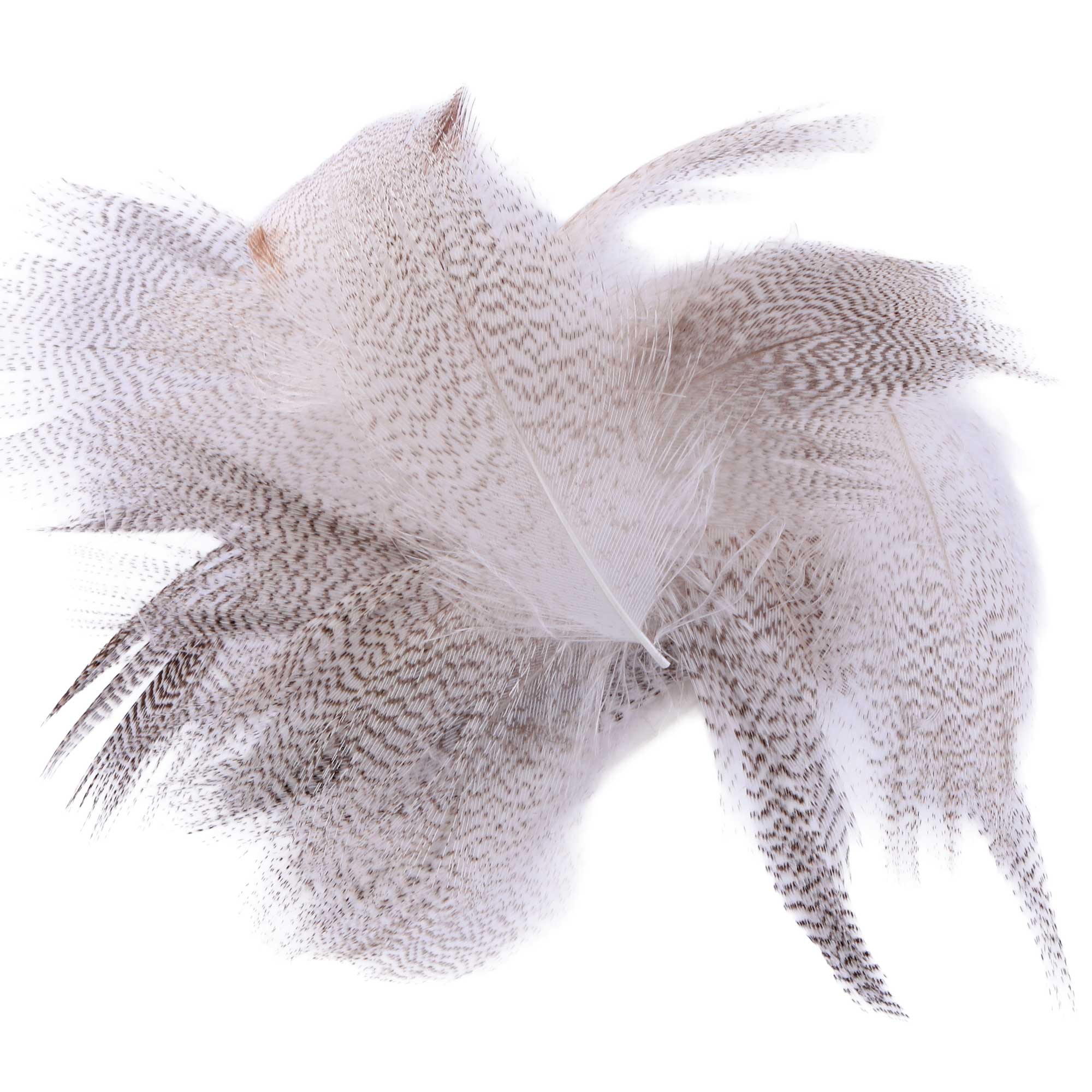 Soldarini Mallard Flank Feathers 30pc